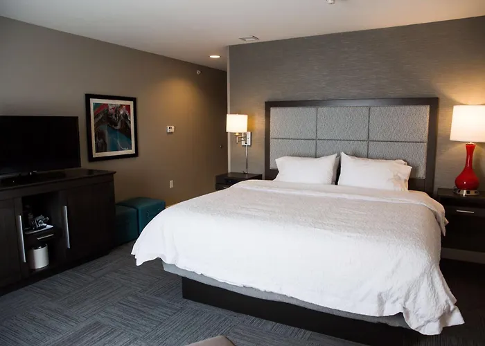 Hotel Hampton Inn-pontiac 3*