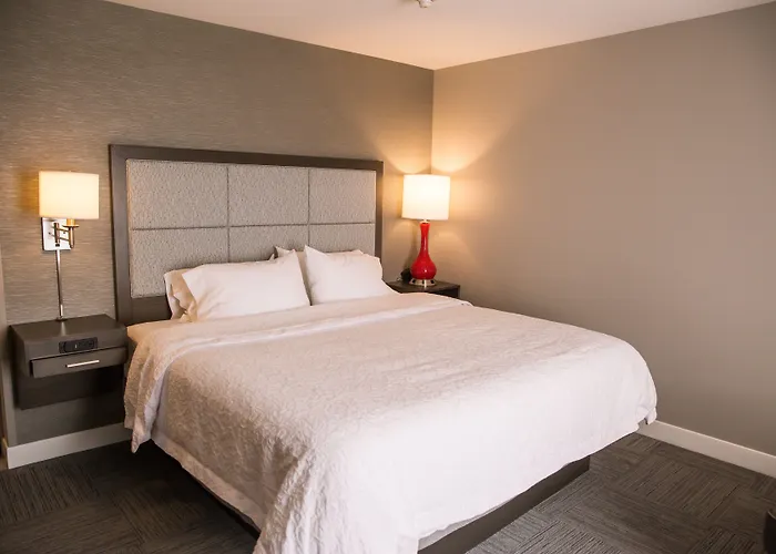 Hotel Hampton Inn-pontiac