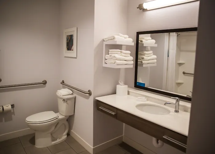 Hampton Inn-pontiac Hotel 3*